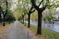 Aviso amarillo este jueves en Almería, Granada, Jaén y Málaga por lluvias de hasta 60 litros en doce horas