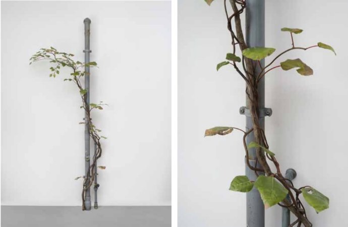 Álvaro Urbano, con 'VEINS', Premio Catalina D'Anglade en su VIII edición