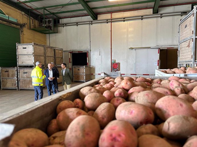 Archivo - El Cabildo de Tenerife invertirá casi dos millones en la rehabilitación de las naves de papas de Benijos