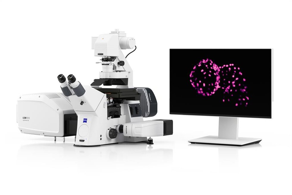 ZEISS Lightfield 4D permite la imagen volumétrica de fluorescencia a alta velocidad de forma instantánea, capturando procesos fisiológicos y neuronales en 3D. Copyright: ZEISS