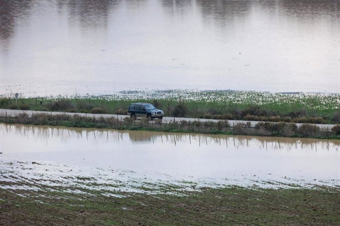 Archivo - Campos de la pedanía San Pablo de Bucite, de Jimena de la Frontera (Cádiz), anegados por el agua tras el paso de una borrasca el pasado 14 de noviembre de 2024. ARCHIVO.