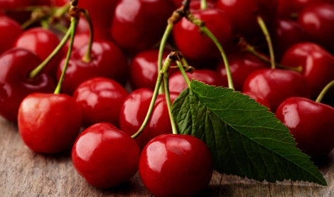 Comunicados Sociedad