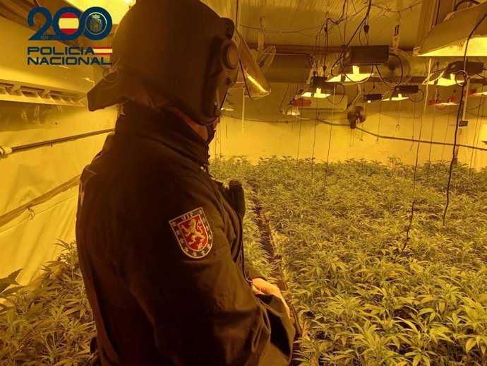 Imagen de la operación