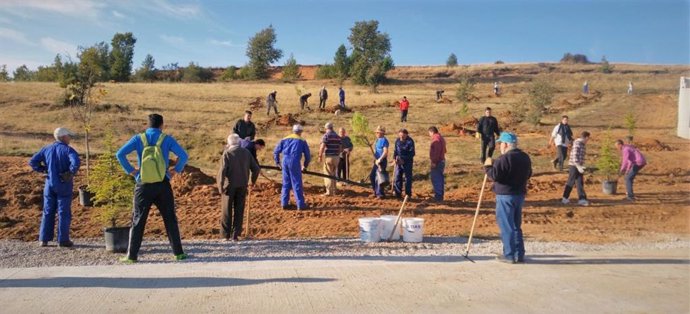 Trabajos mediambientales en Acera de la Vega.