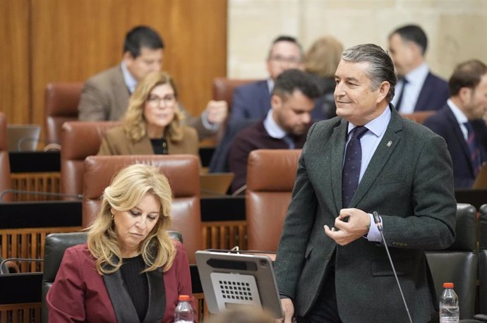 El consejero de la Presidencia, Interior, Diálogo Social y Simplificación Administrativa, Antonio Sanz, interviene durante la segunda jornada del pleno del Parlamento andaluz. A 06 de marzo de 2025, en Sevilla (Andalucía, España). Segunda jornada de Pleno