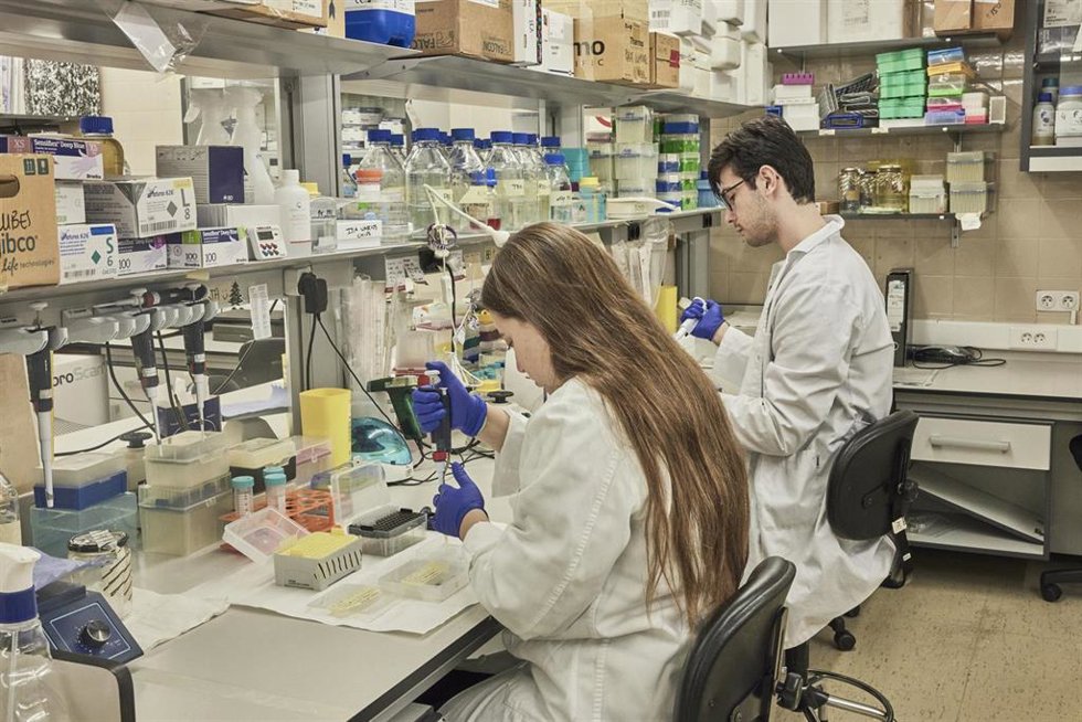 Archivo - Jóvenes investigadores trabajando en laboratorio.