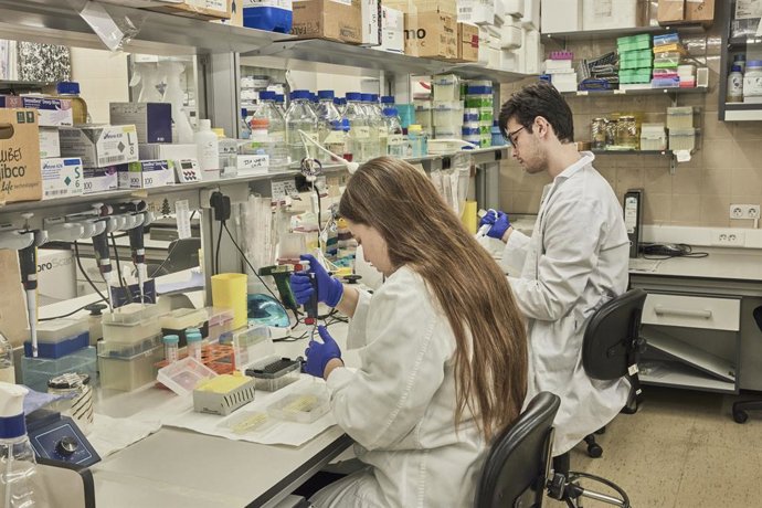 Archivo - Jóvenes investigadores trabajando en laboratorio.