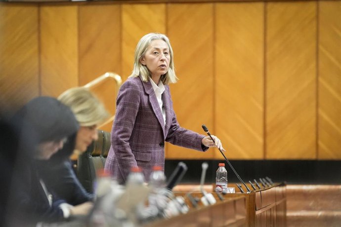 La consejera de Salud y Consumo, Rocío Hernández, durante su intervención en el Pleno del Parlamento andaluz.