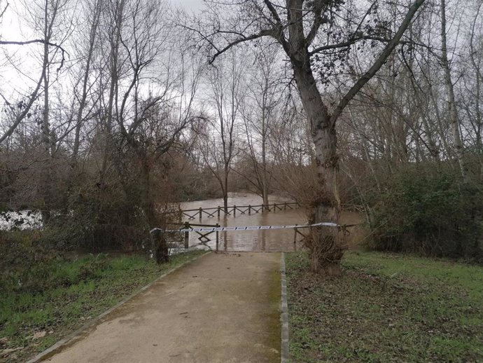 Corte en el parque fluvial del río Henares a su paso por Guadalajara.
