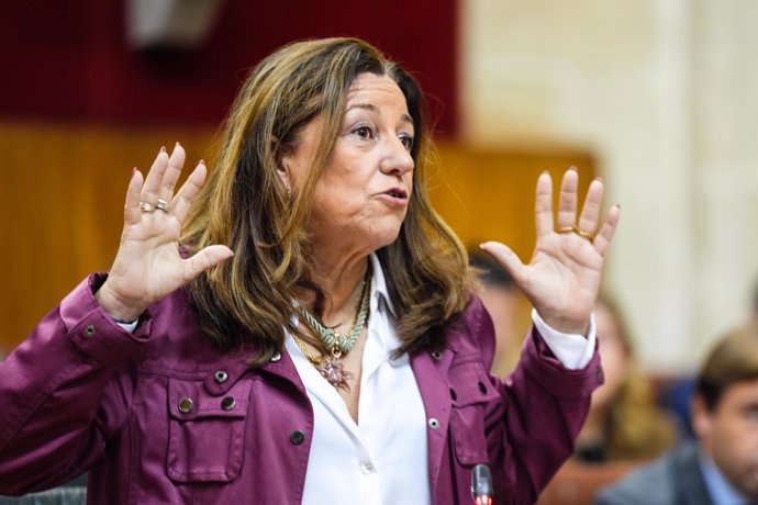 La consejera de Educación, María del Carmen Castillo. 