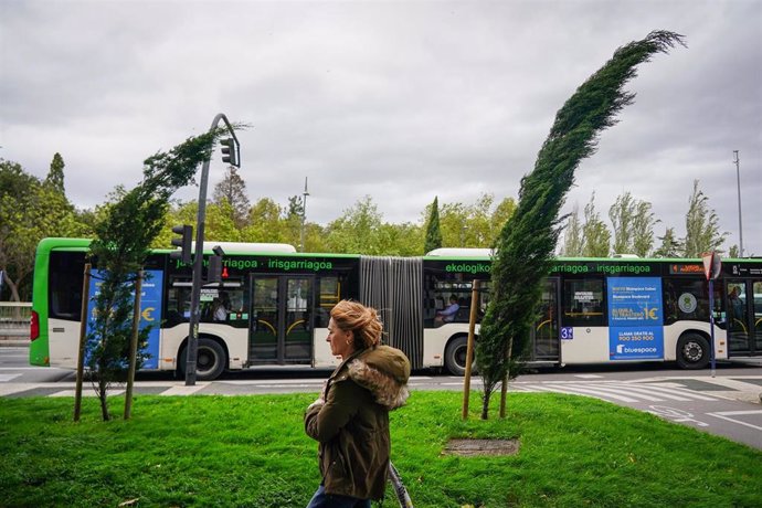 Archivo - Árboles moviéndose a causa del viento provocado en Vitoria-Gasteiz, Álava, País Vasco (España). 