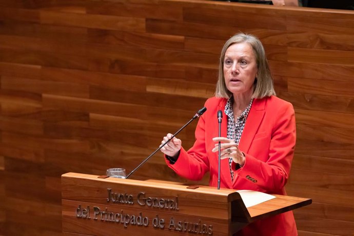Archivo - Arquivo - A deputada do PP, Pilar Fernández Pardo, na Assembleia Geral.