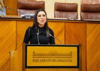 El Parlamento aprueba una PNL para pedir al Gobierno un plan integral de lucha contra el narcotráfico en Andalucía