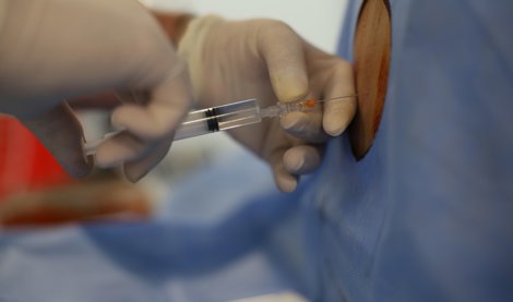 Investigación