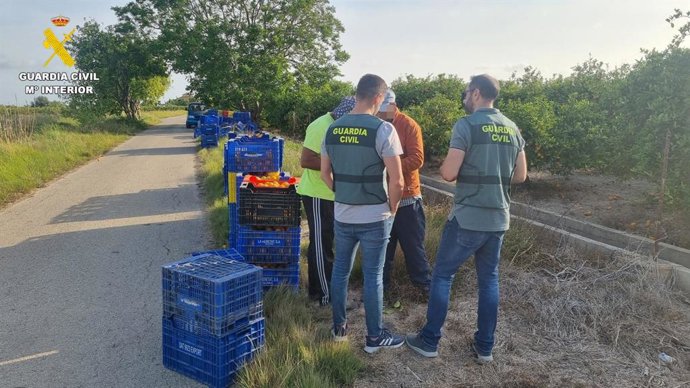 Inspecciones de compraventas de naranjas