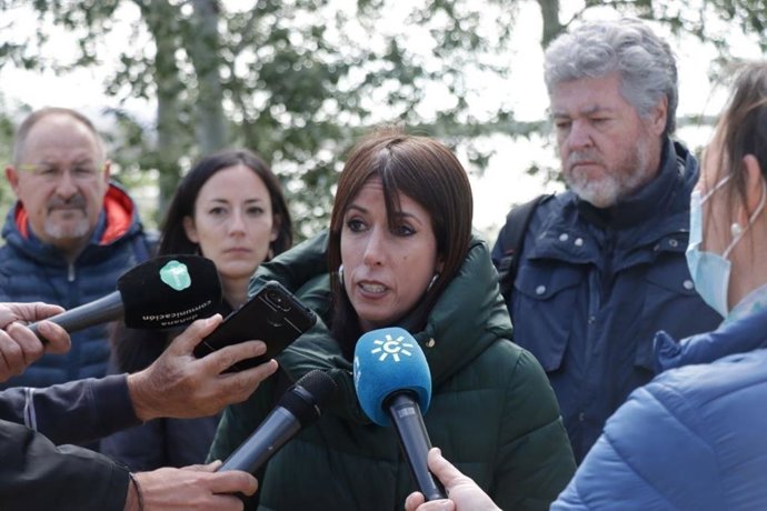 La diputada andaluza de Podemos, Martina Velarde, y el coordinador de Alianza Verde, Juantxo López de Uralde, en una atención a los medios.