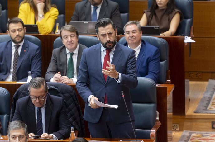 El portavoz del PP en la Asamblea de Madrid, Carlos Díaz-Pache, interviene durante un pleno en la Asamblea de Madrid, a 20 de febrero de 2025, en Madrid (España). 