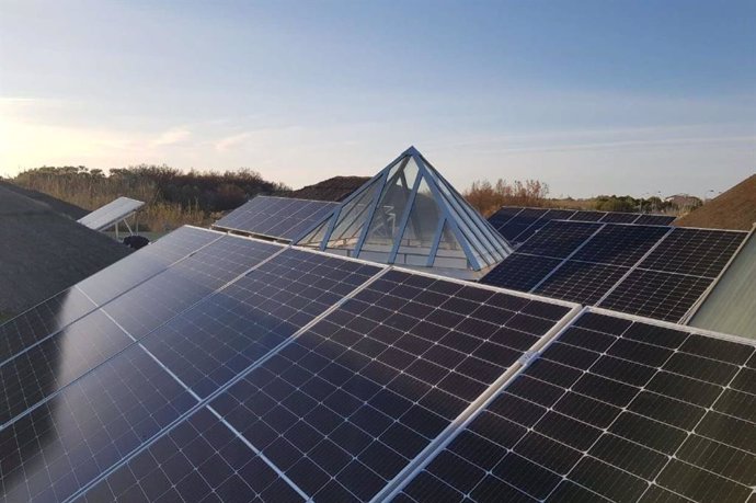 Archivo - Placas solares.