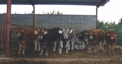 EpAgro