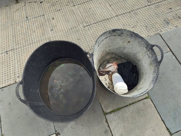 Cubos de anémonas y pulpo intervenidos en Velilla