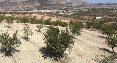 Andalucía
