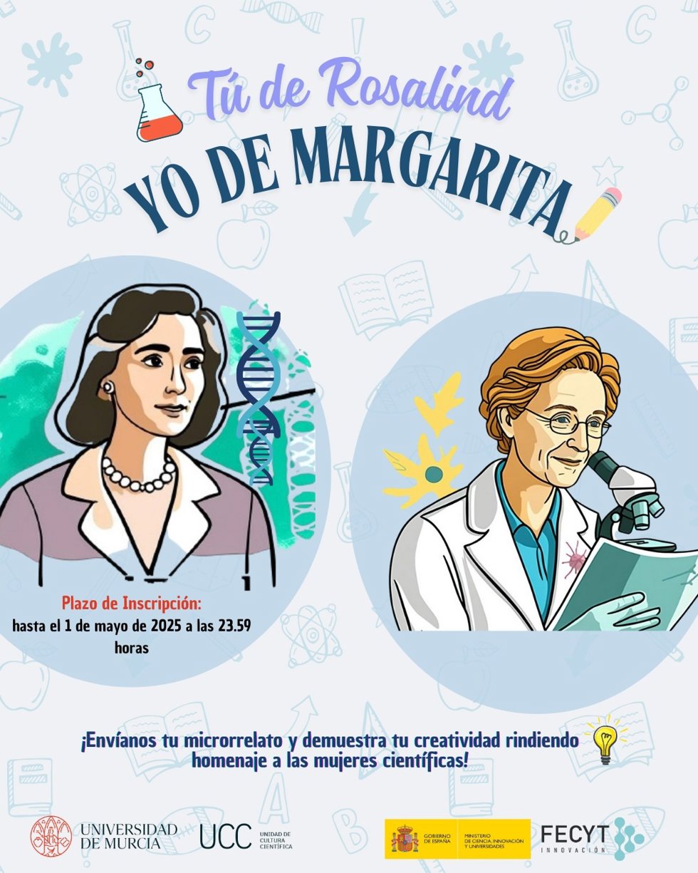 Cartel del concurso