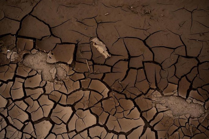 Archivo - Lodo en el barranco de Torrent tras el paso de la dana (archivo)