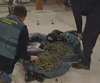 La Guardia Civil se incauta de 26 kilos de marihuana y detiene a 3 personas en San Martín de Valdeiglesias