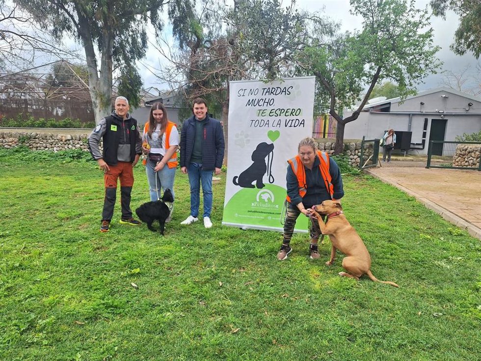 El regidor de Medio Natural del Ayuntamiento de Palma, Lloren Bauzá de Keizer, acompañado por el presidente de 'Peluditos de Son Reus', Miguel Elvira, y voluntarias de la asociación