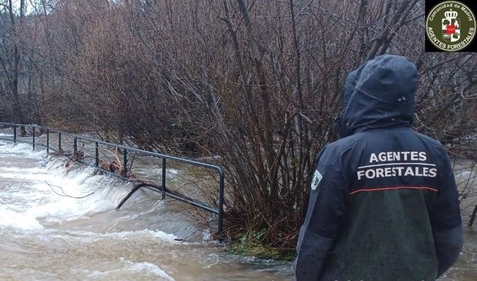 Un agente forestal observa la crecida del caudal de un río de Madrid, el 8 de marzo de 2025.