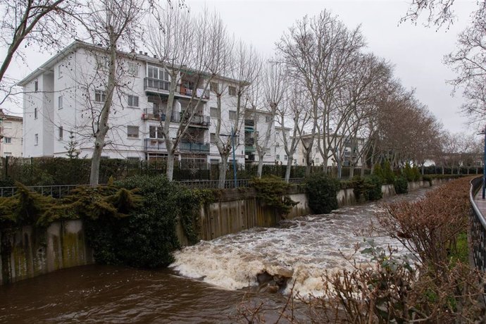El río Guadarrama a su paso por Collado Villalba, a 7 de marzo de 2025, en Collado Villalba, Madrid (España). 