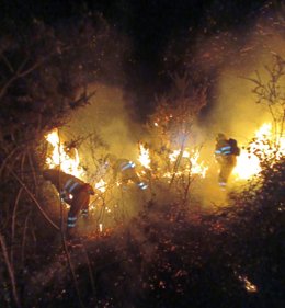 Incendio forestal en Cantabria