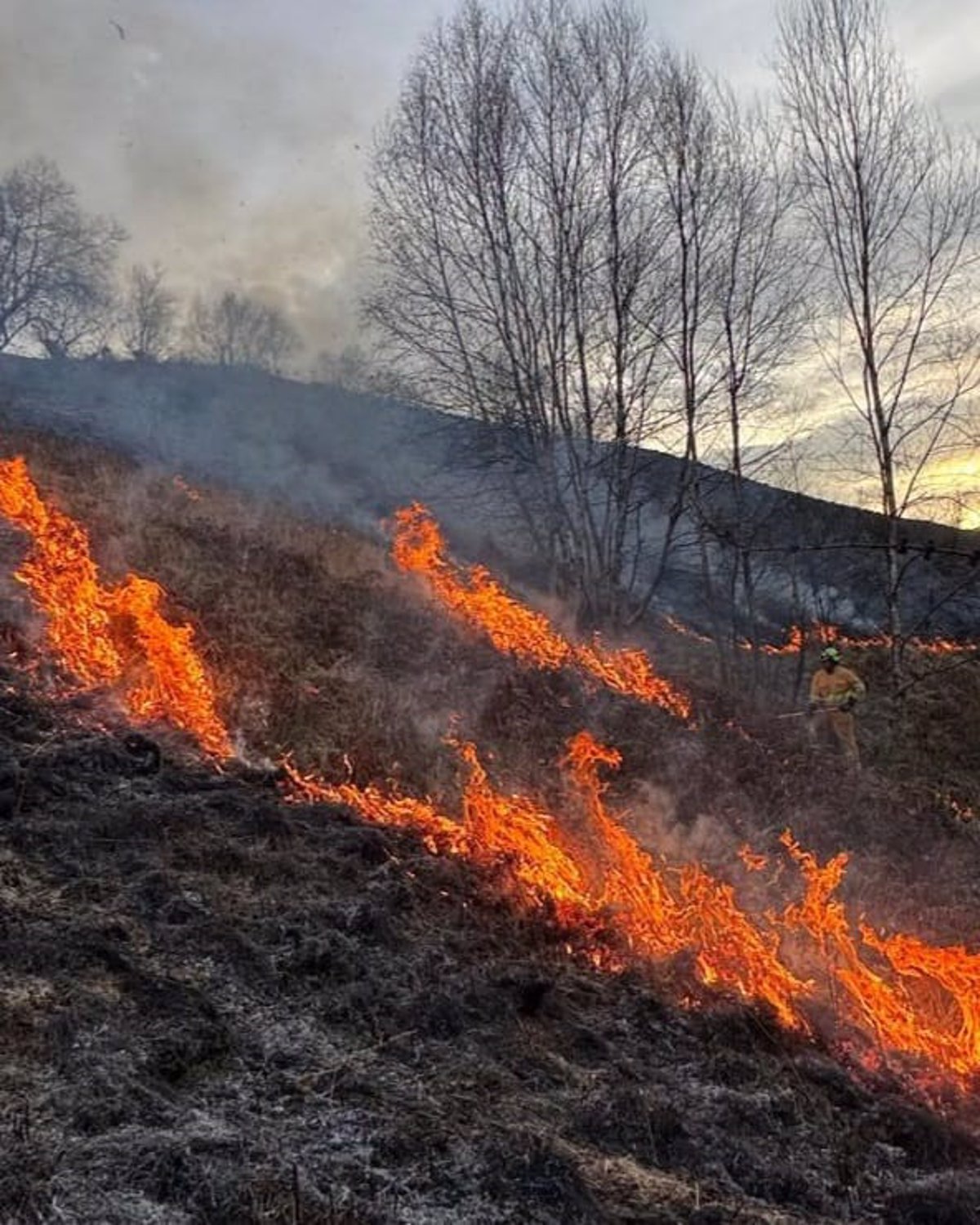 Cantabria tiene un incendio forestal activo en Riotuerto