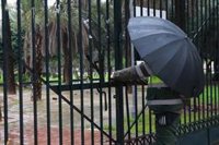 Activado de nuevo el Plan de Emergencias Municipal en Sevilla, que mantiene el cierre de parques