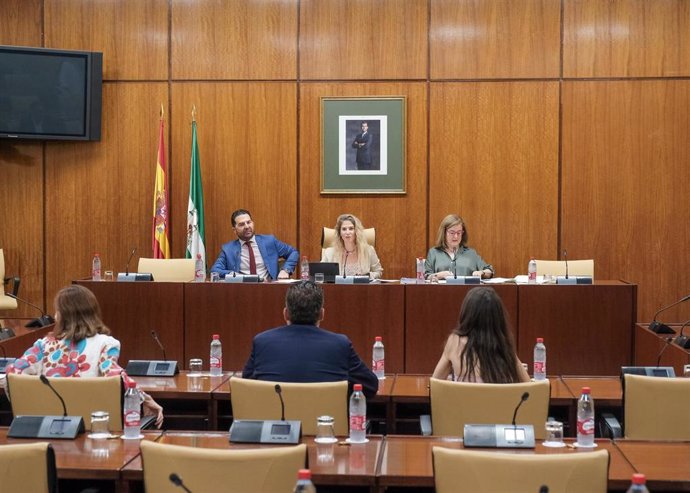 Archivo - Sesión constitutiva de la comisión de seguimiento y control de financiación de partidos políticos del Parlamento andaluz en la XII legislatura, celebrada el 1 de septiembre de 2022. (Foto de archivo).
