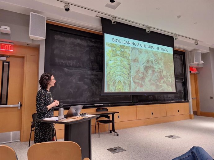 La investigadora de la Universitat Politècnica de València (UPV) Pilar Bosch ha mostrado en Estados Unidos los últimos avances con sello UPV aplicados a la restauración y conservación del patrimonio