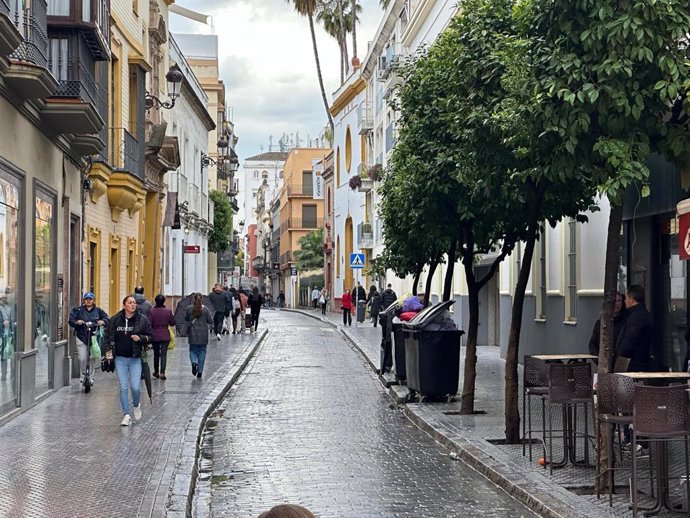 Imagen de la calle Alfonso XII (Sevilla).