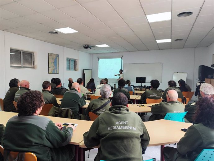 La Generalitat forma a los agentes medioambientales en protección de árboles monumentales de la Comunitat Valenciana