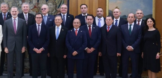 Imagen del presidente de la Asociación Zona Centro, Javier Alarcón, junto al Rey Felipe VI en una audiencia.