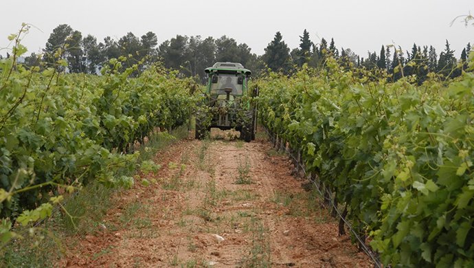 Archivo - Tractor en un campo. Imagen de archivo