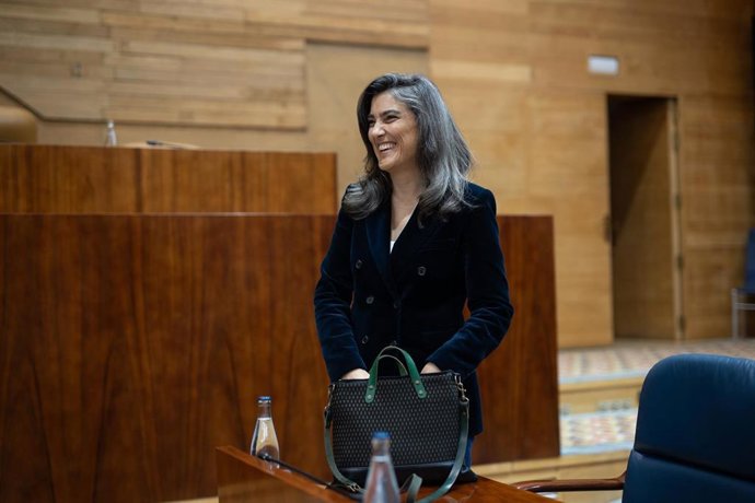 La portavoz de Más Madrid, Manuela Bergerot.