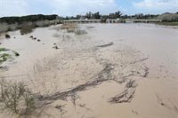 Alcaldesa de Jerez (Cádiz) dice que el cauce del Guadalete está "estabilizado" pero pide prudencia ante más lluvias