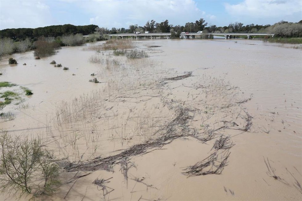 Imagen del río Guadalete a su paso por Jerez de la Frontera con el cauce alto debido a las lluvias de los últimos días.