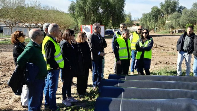 Agricultura destina 1,2 millones para evitar avenidas de agua en el cauce del Segura entre Rojales y Guardamar.