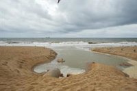 Aviso amarillo este martes en toda Andalucía por lluvias de hasta 80 litros y por oleaje en el litoral