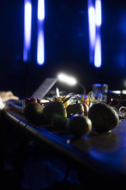 Archivo - 'LA GULA_DJ SET'