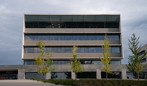 Corporate y M&A