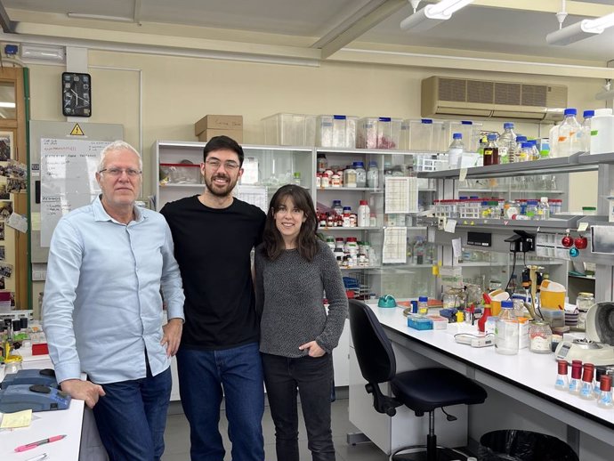 Un grupo de la Universitat de València identifica nuevos mecanismos de control del ciclo celular en respuesta al estrés