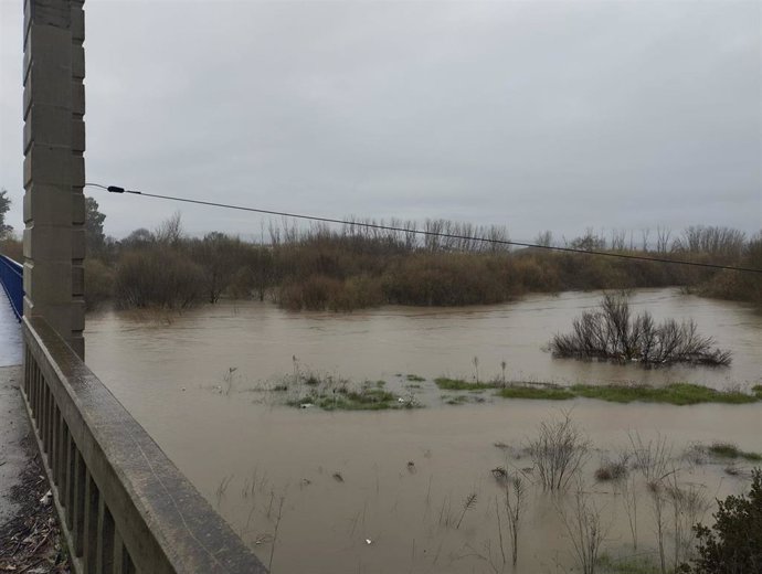 El río Alberche en las proximidades de su desembocadura en el Tajo en la ciudad de Talavera de la Reina, el 11 de marzo de 2025.