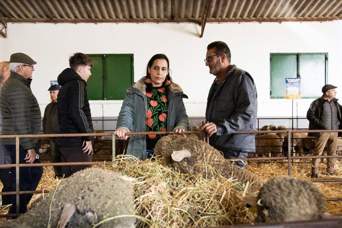 La diputada de Agricultura y Ganadería de la Diputación de Cáceres, Angélica García, asiste a la subasta de ganado Merino Precoz entre los ganaderos de la provincia